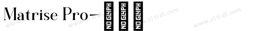 Matrise Pro字体转换